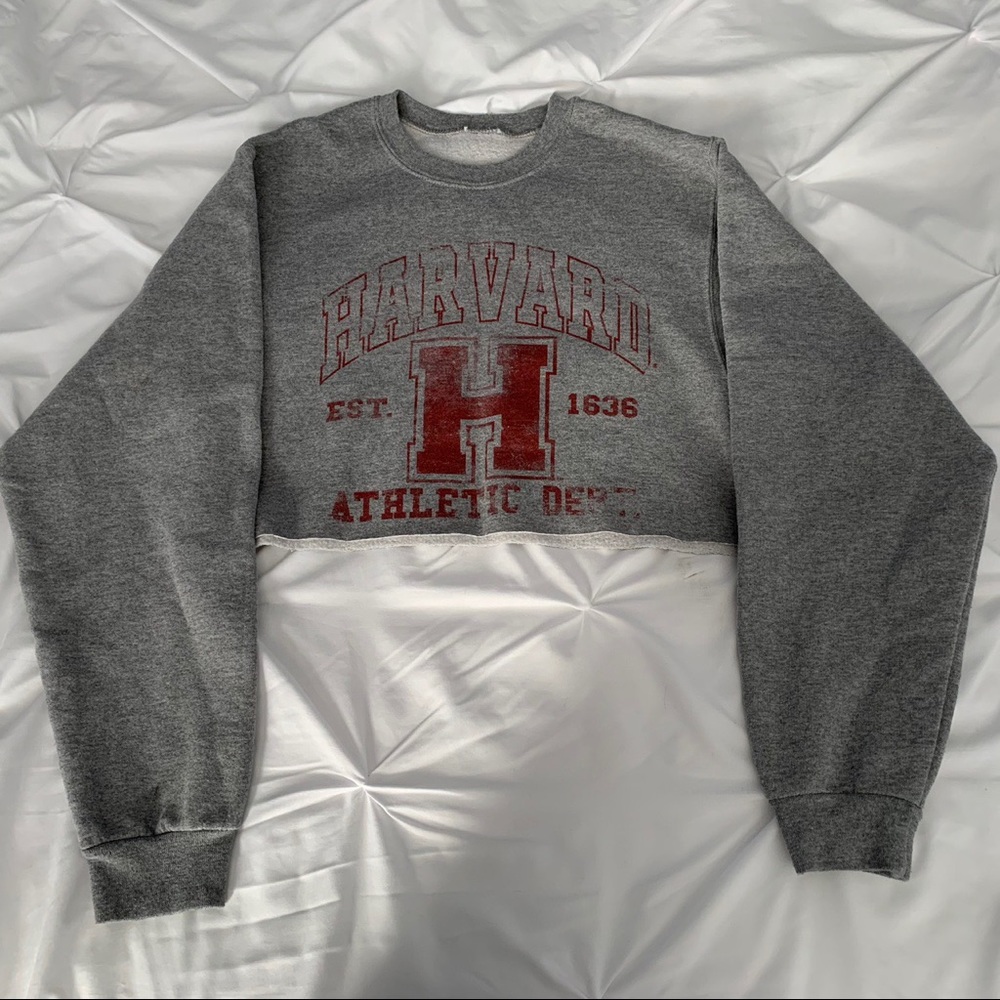 Brandy Melville harvard crewneck